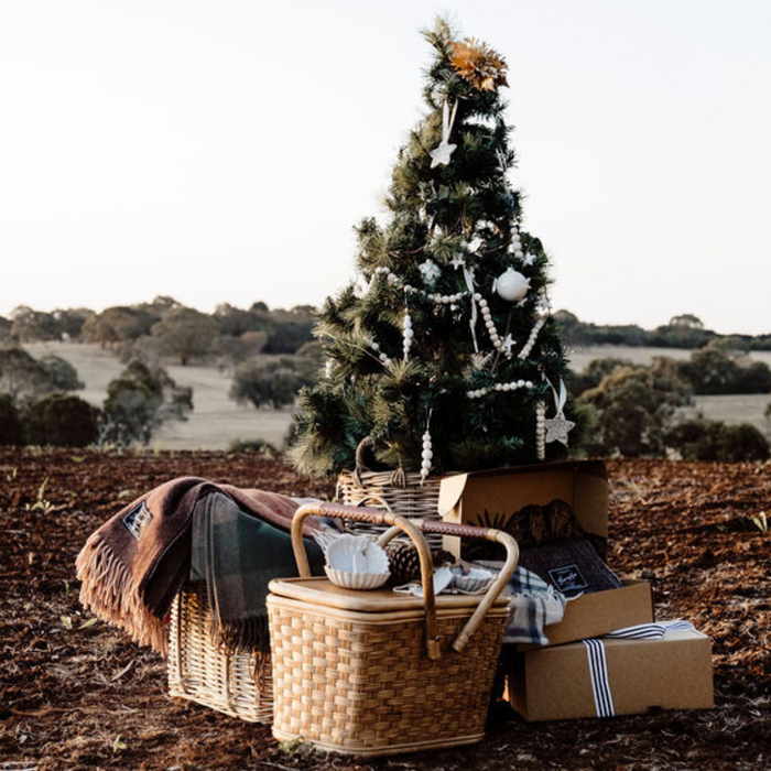 Through the Fire—Looking Back on the Year that was 2024