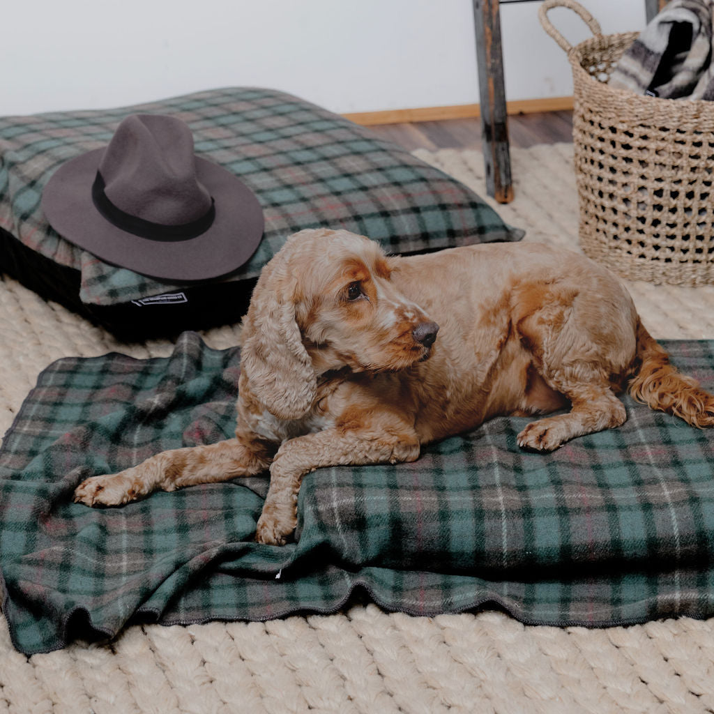 Pet Blanket | Hunter