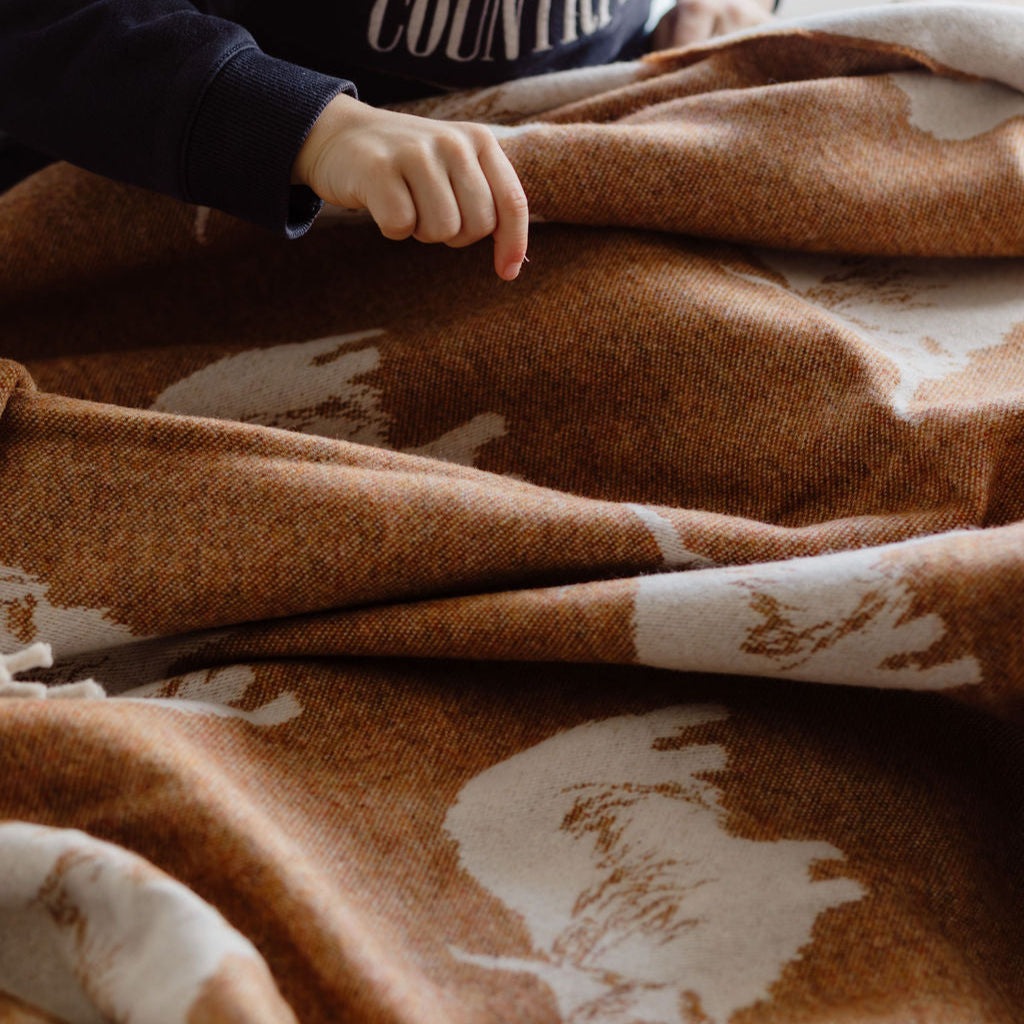 The History of Merino Wool in Australia