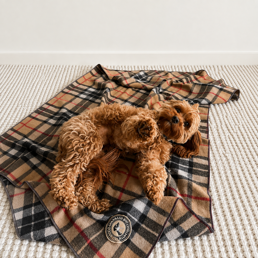 Pet Blanket | Camel